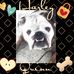 Jane Karcher - Facebook
