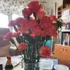Jan-åke Karlsson - @sunanvik - TikTok