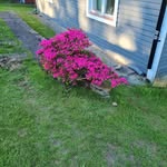 Jan Karlsson - @jan.karlsson.71 - Instagram