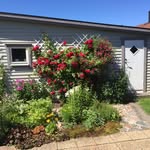 Jan Karlsson - @jan.karlsson.31337 - Instagram