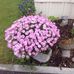 Jan Keene - Facebook