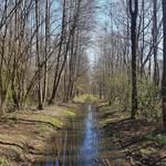 Jan Keiser - @jankeiser7 - Instagram