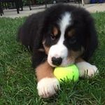 Jan Kerr @properties - @jankerr_realtorillinois - Instagram