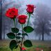 Jan Khan - Facebook