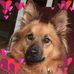 Jan Kimball - Facebook