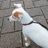 jankirchersatz - @jankirch09 - TikTok