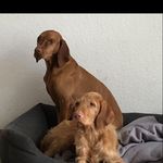 Jan Klatte - @1janklatte - Instagram