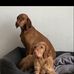 Jan Klatte - Facebook