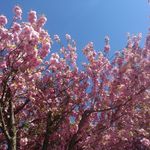 Jan Krause - @tacklemepink - Instagram