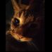 Jan Krause - Facebook