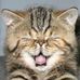 Jan Krause - Facebook