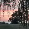 Jan Krause - @jan.krause30 - TikTok