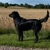Jan Kristensen - Facebook