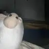 jana_krumrey - @janakrumrey - TikTok
