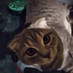 Jan Lang - @j3nic3k26 - Instagram
