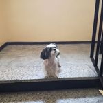 Jan Laskowski - @jan.laskowski.904 - Instagram