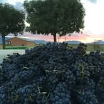Jan Leavitt Smith - @sbvwine - Instagram
