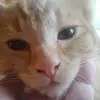 janleavitt - @jan.leavitt7 - TikTok
