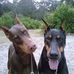 Jan Ledbetter - Facebook