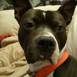 Janet Ledbetter - @janet_ledbetter - Instagram