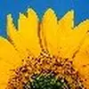 Jann Ledbetter - @jann.ledbetter - TikTok