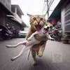 Jan Lee - @jan.lee - TikTok