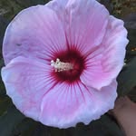 Jan Light Dubose - @zjd123_jan - Instagram