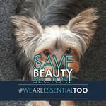 Jan Lips - @janlips73 - Instagram