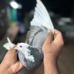 JAN-LOFT-PY - @jan_loft_py - Instagram