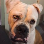Jan Locke - @pokeprobrock - Instagram