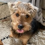 Jan Locke - @janmlocke - Instagram