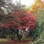 Jan Lord - @artinthegarden - Instagram