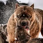 Jan Lorenc - @jan.lorenc.75 - Instagram