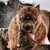 janlorenc852 - @janlorenc852 - TikTok