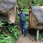 Chris Lovejoy - @lovejoyjan - Instagram