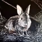Jan Lowe - @lowe8868 - Instagram