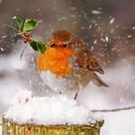 Jan Lowes - @jan.lowes - Instagram