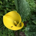 Jan Lowery - @janlowery2647 - Instagram