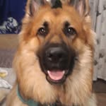 Janet Margaret Lyon - @janlyon42 - Instagram