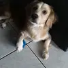janlyon181818 - @janlyon181818 - TikTok
