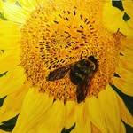 Jan Mabry Jones - @jan_jones - Instagram
