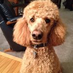 Jan MacDonald - @jan.macdonald - Instagram