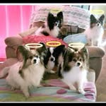 Jan Macdonald - @macdonald.jan - Instagram