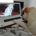 Jan Mackie - Facebook