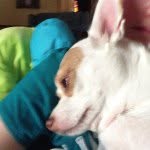 Mace - @janmacy - Instagram