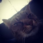 Jan Majer - @jan_majer_ - Instagram