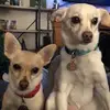 janmaloney5 - @janmaloney5 - TikTok