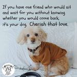 Jean Maness - @jean.maness.393 - Instagram