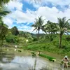 Marvin Calijan - @marvin.calijan - TikTok