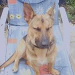 Jan Mattinson - @janmattinson - Instagram